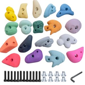 WT Super Strong Rock Climbing Holds (20-Set) |Multicolor|Climbing Stone for Kids, Adult Playground Wall/Wood |Indoor and Outdoor| with Hardware Kit |DIY Installation|