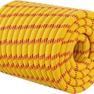 100 Mtr