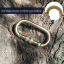 IBS Climbing Carabiner 23KN Screw Lock (Alloy Steel)