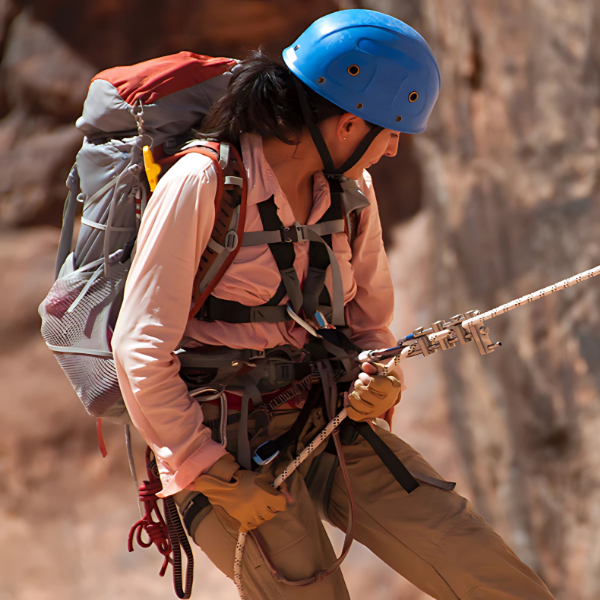 CLIMBING HARNESS