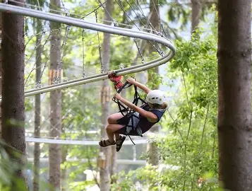 White Tech Rollercoaster Zipline Setup